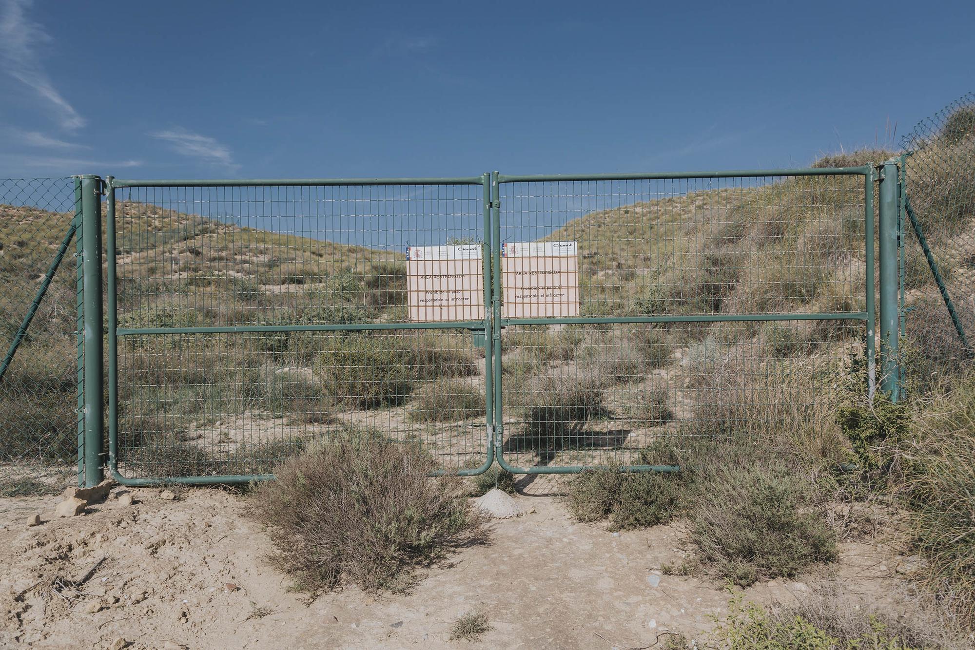 Trimestral 71 Palomares  - 2